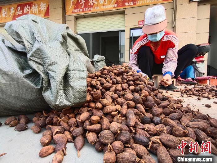 Jejak Kaki di Ibu Kota Rempah-ratus, Yulin 