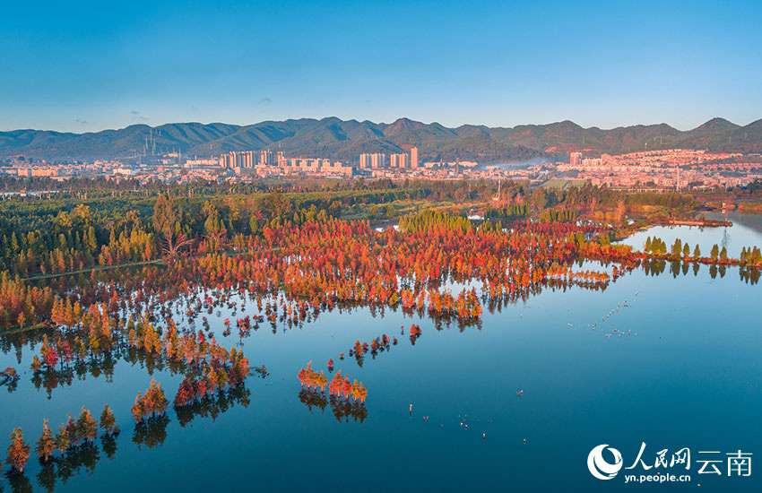 Panorama Seindah Lukisan di Tasik Dianchi