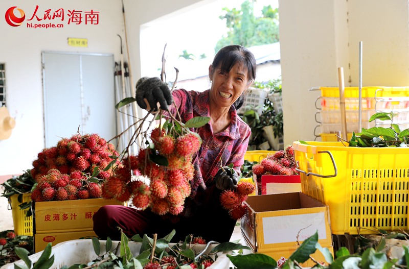 Rambutan Sumber Rezeki Penduduk Baoting, Hainan