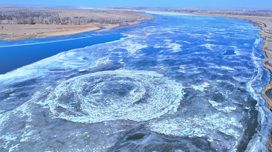 Ais Biru di Sungai Kuning