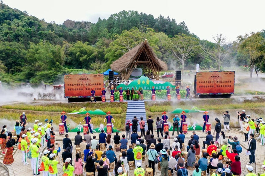 Pelancong Nikmati Teh Musim Bunga