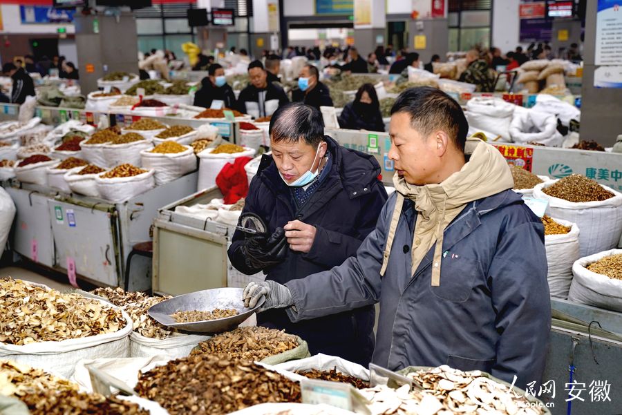 Majlis Pembukaan Pasar Herba Cina Diadakan di Bozhou, Anhui