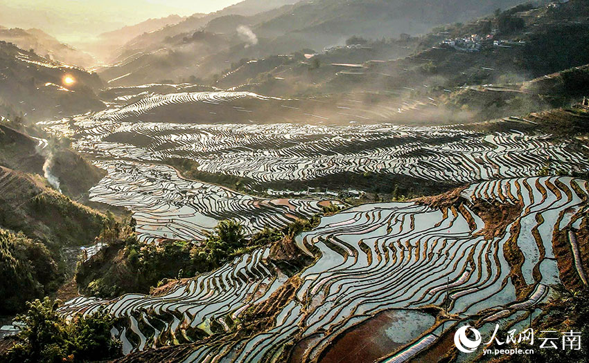 Tiba Musim Semai Padi di Sawah Teres Yunnan