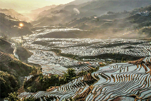  Tiba Musim Semai Padi di Sawah Teres Yunnan