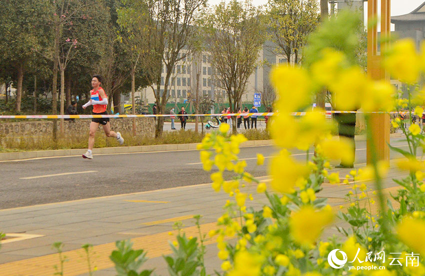 11 Ribu Lari Maraton Dilatari Bunga Sesawi di Yunnan