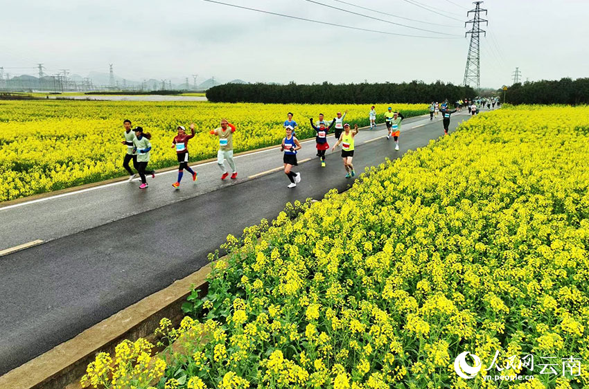 11 Ribu Lari Maraton Dilatari Bunga Sesawi di Yunnan