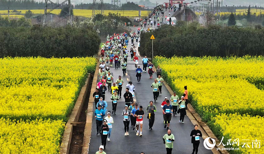 11 Ribu Lari Maraton Dilatari Bunga Sesawi di Yunnan