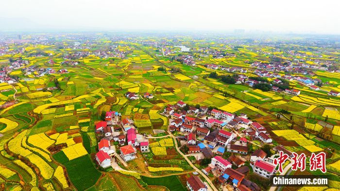 Trend ‘Hayati Bunga’ Pemangkin Pelancongan China Pulih