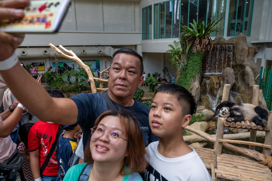 “Bintang Zoo”, Panda Jadi Tumpuan di Malaysia