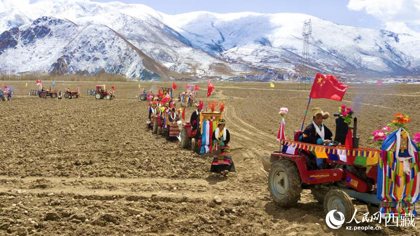 Petani Tibet Adakan Upacara Bajak Musim Bunga