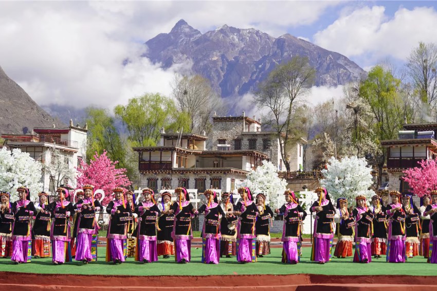 Bunga Pir Mekar Tambah Keindahan Kampung Tibet di Sichuan