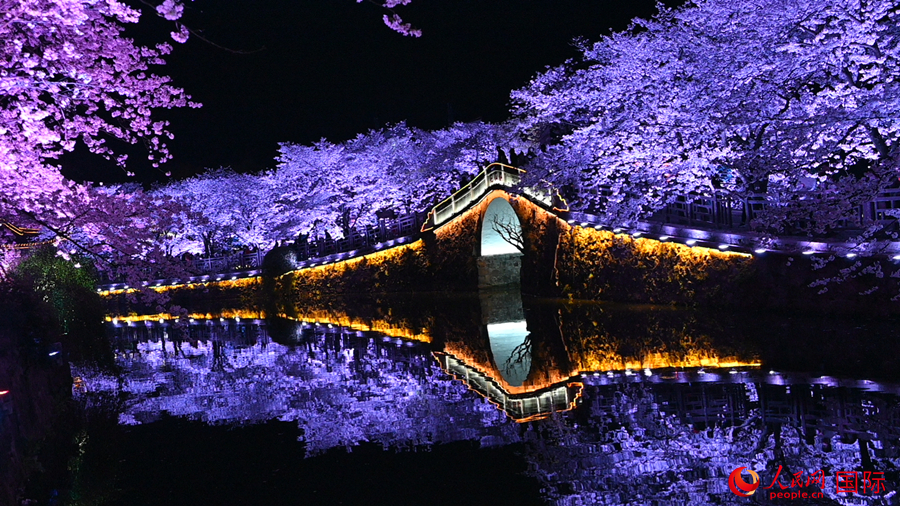 Foto ini menunjukkan pemandangan bunga ceri pada waktu malam yang cukup menakjubkan di Yuantouzhu, bandar Wuxi, provinsi Jiangsu, timur China. (foto: Xu Xiangli/People.cn)