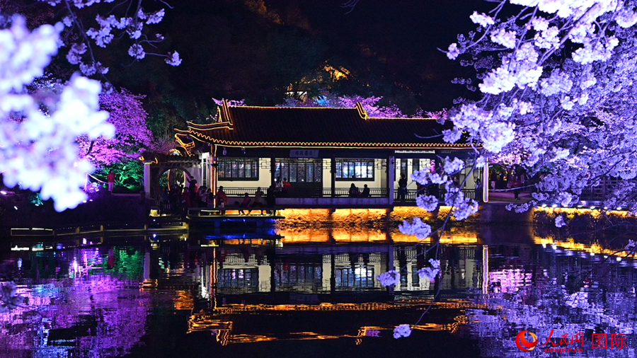 Foto ini menunjukkan pemandangan bunga ceri pada waktu malam yang cukup menakjubkan di Yuantouzhu, bandar Wuxi, provinsi Jiangsu, timur China. (foto: Xu Xiangli/People.cn)