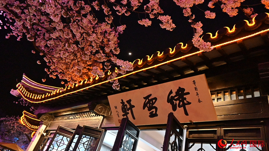 Foto ini menunjukkan pemandangan bunga ceri pada waktu malam yang cukup menakjubkan di Yuantouzhu, bandar Wuxi, provinsi Jiangsu, timur China. (foto: Xu Xiangli/People.cn)