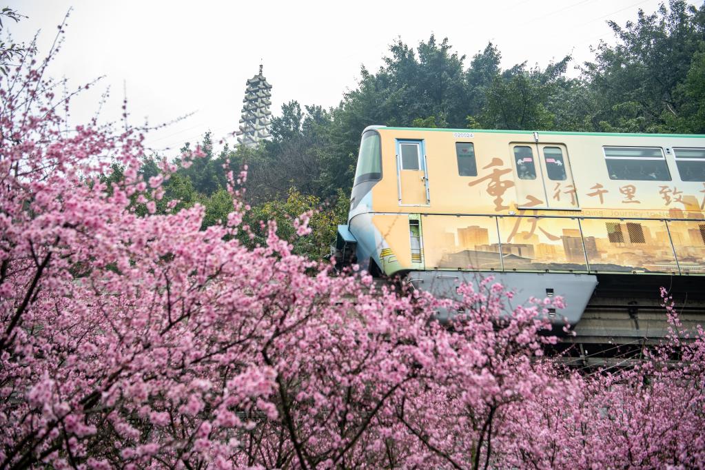 Chongqing, “Bandar Pergunungan” Tempat untuk Parkur