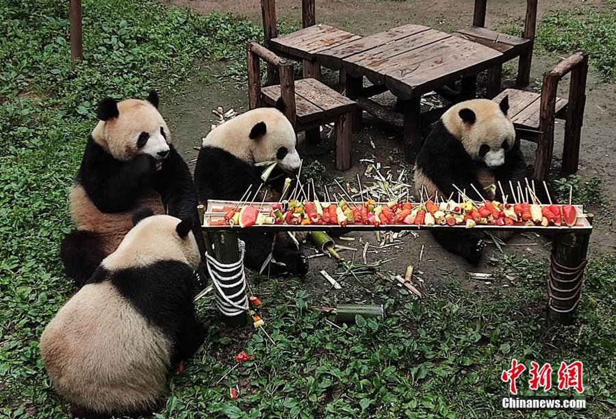 Panda gergasi menikmati "barbeku layan diri" sempena Hari Kanak-kanak Antarabangsa. (foto: Chinanews.cn)