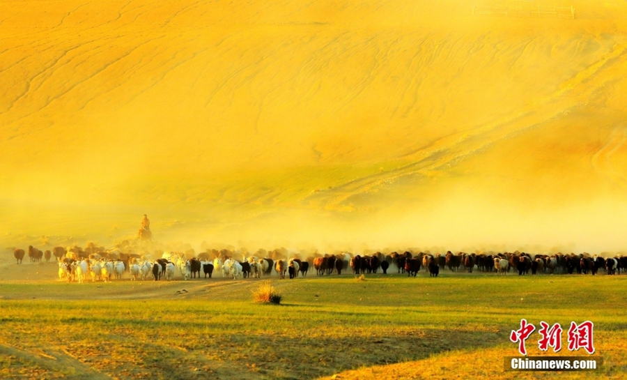 Musim Berpindah Bermula bagi Gembala Xinjiang