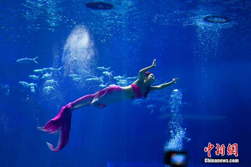Pertandingan Terbuka Mermaid China Buka Tirai