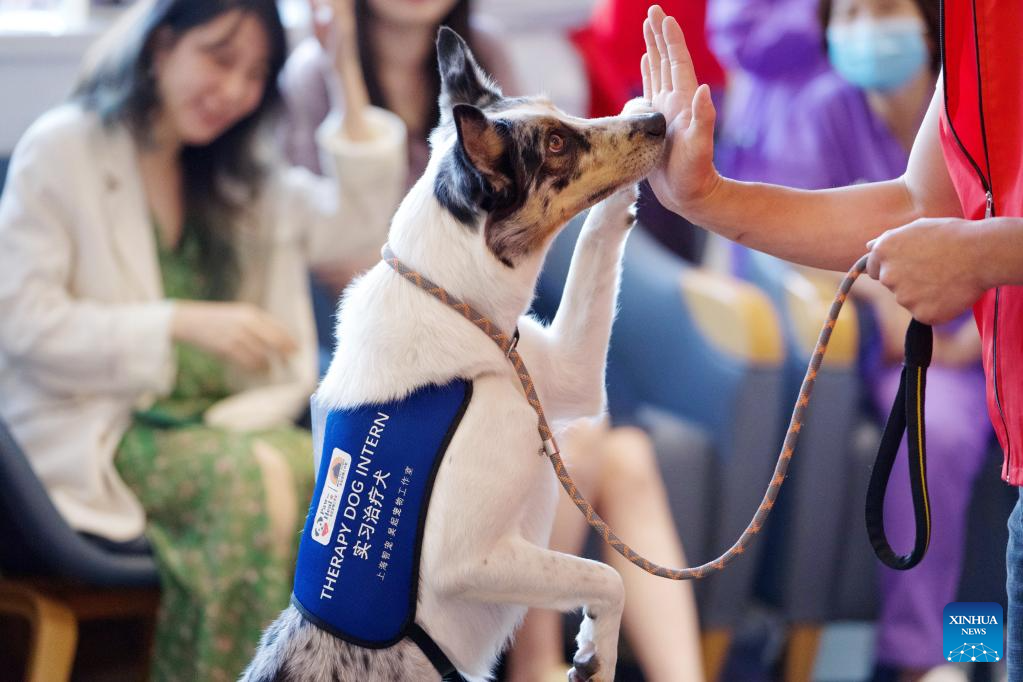 Pelatih haiwan melatih seekor anjing di Shanghai, timur China, 28 Mei 2023. (Xinhua)
