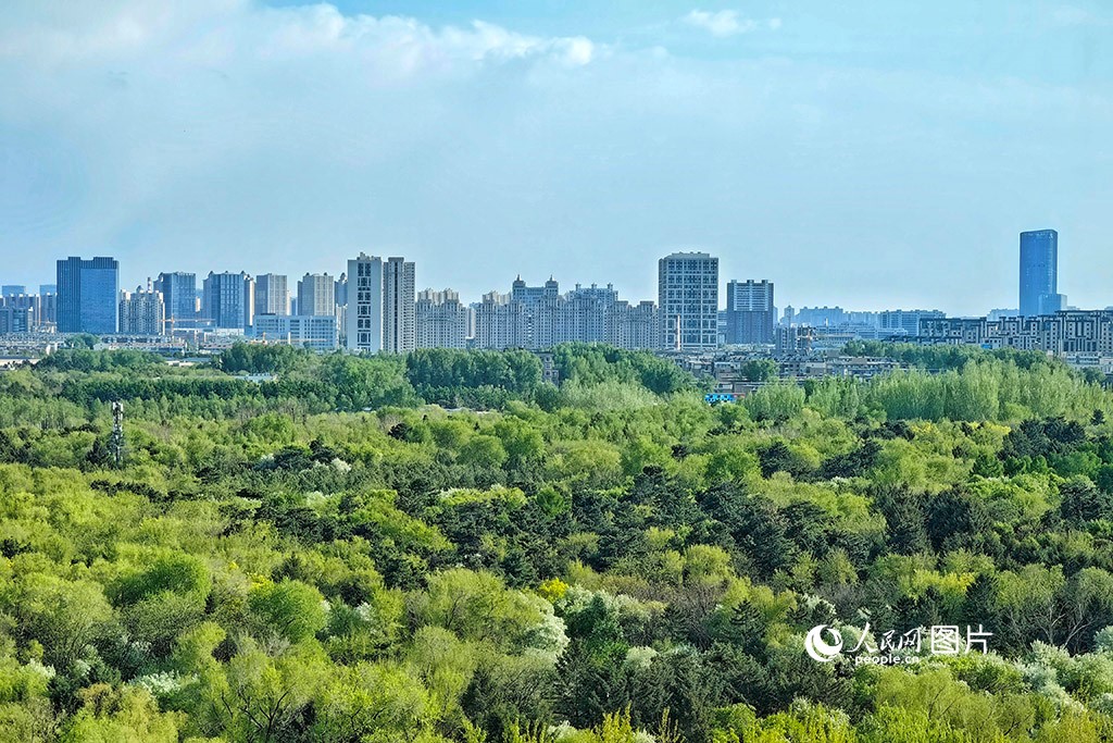 Taman Nanhu yang terletak di Changchun, Jilin, timur laut China. (People's Daily Online/Li Yang)