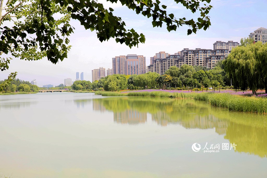 Sungai Diannong di Yinchuan, Ningxia, barat laut China. (People's Daily Online/Yan Mengjie)