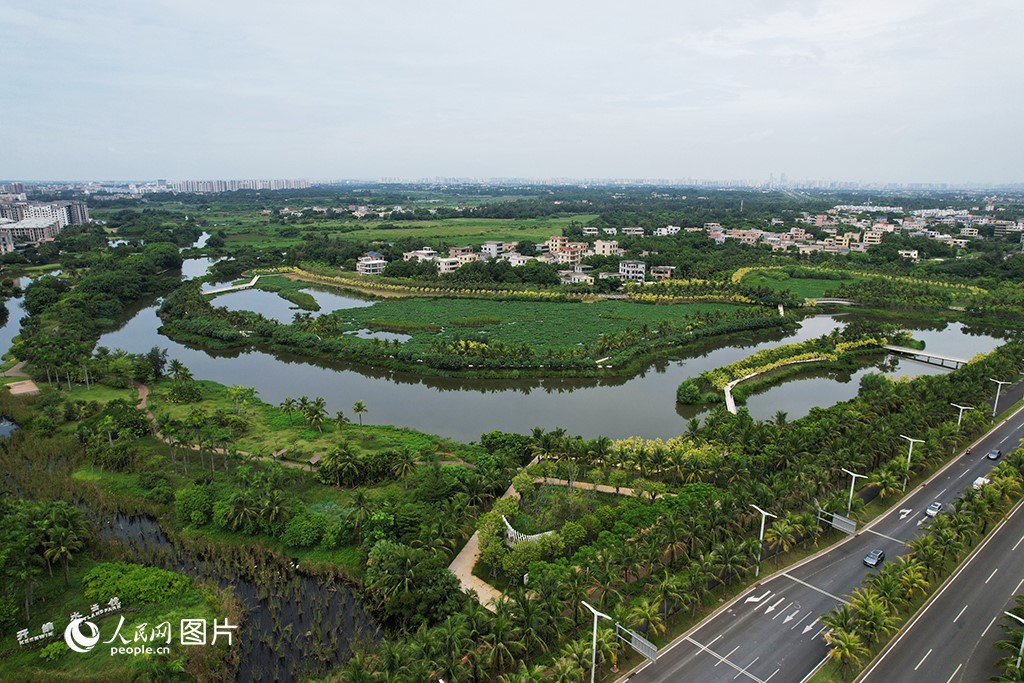 Taman Tanah Lembap Furonghe di bandar Haikou, provinsi Hainan. (People's Daily Online/Meng Fansheng)