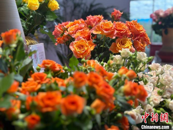 Kilang Mawar di Barat Laut China Sibuk Menjelang Hari Valentine Cina