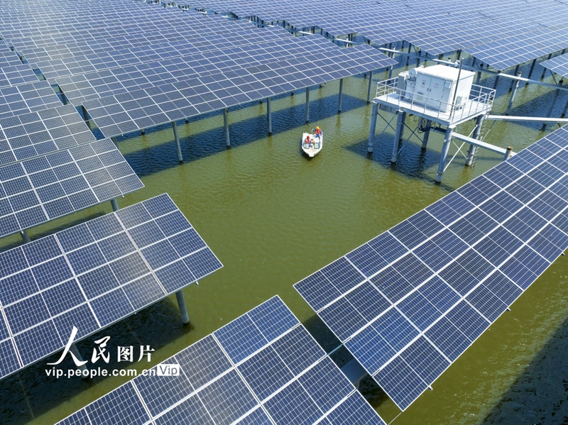 Tahun-tahun kebelakangan ini, bandar Tongling di provinsi Anhui mematuhi prinsip yang mengutamakan ekologi, dan melaksanakan sepenuhnya pelan jana kuasa “perikanan+ fotovolta”. (People’s Daily Online/Gao Xiaobing)