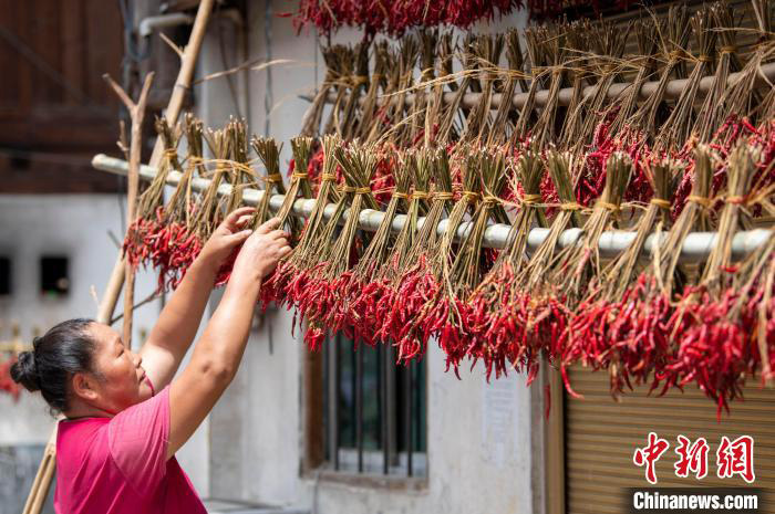 Lada Merah Bawa Kegembiraan Menuai di Guizhou