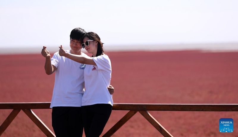 Pantai Merah Honghaitan Tarik Pelancong dengan Landskap Unik