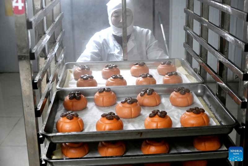 Syarikat Makanan Tradisional Berasaskan Tepung di Shandong Sibuk Penuhi Permintaan Menjelang TBC