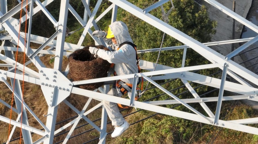 Rumah Burung di Menara Elektrik Chongqing