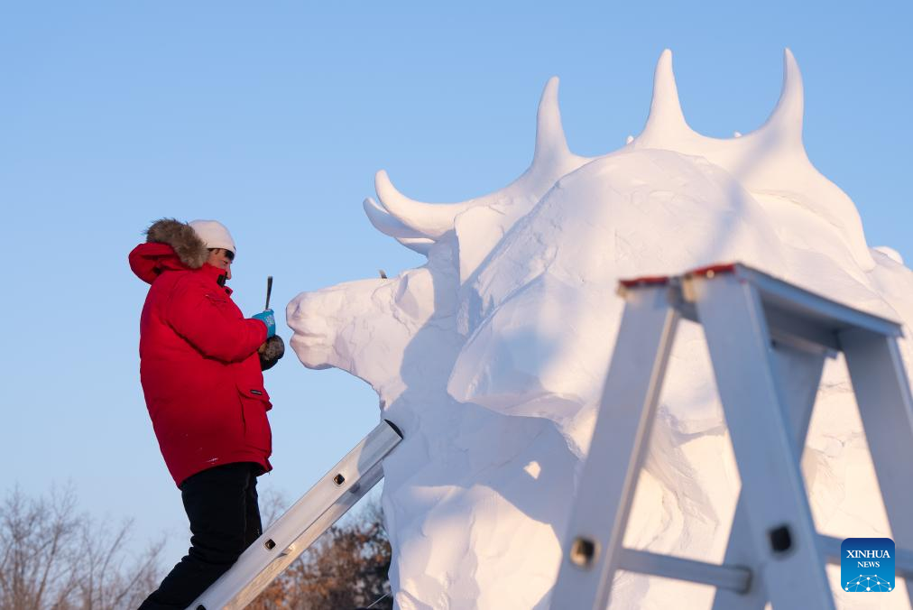 Seorang peserta membuat arca salji di kawasan pemandangan Pulau Sun di Harbin, provinsi Heilongjiang, timur laut China, 7 Januari 2024. (Xinhua/Wang Dayu)