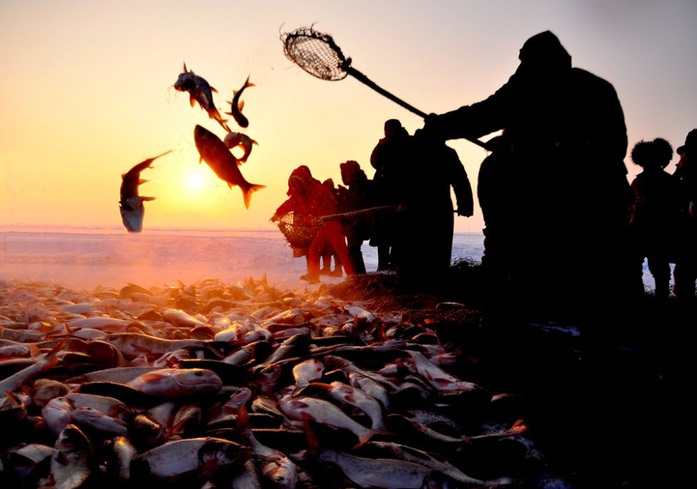 Pukat Ikan Menjelang Tahun Baharu Cina