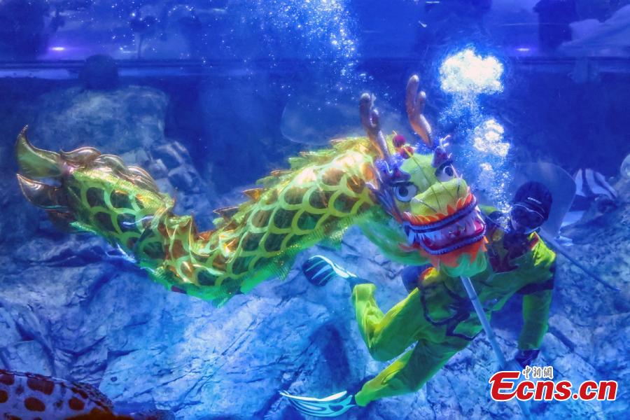 Penyelam mempersembahkan tarian naga di dalam air untuk merayakan Festival Musim Bunga yang akan datang di Nanjing Underwater World di provinsi Jiangsu, timur China, 20 Januari 2024. (China News Service/Yang Bo)