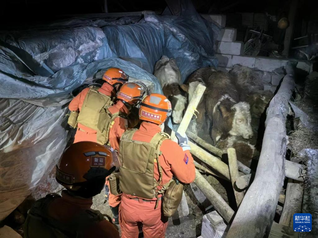 Gempa Xinjiang: Barang Bantuan Disalur ke Kawasan Bencana
