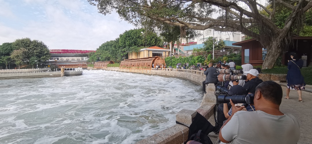 Tasik Yuandang, Habitat Bangau yang Berubah daripada Tasik Busuk