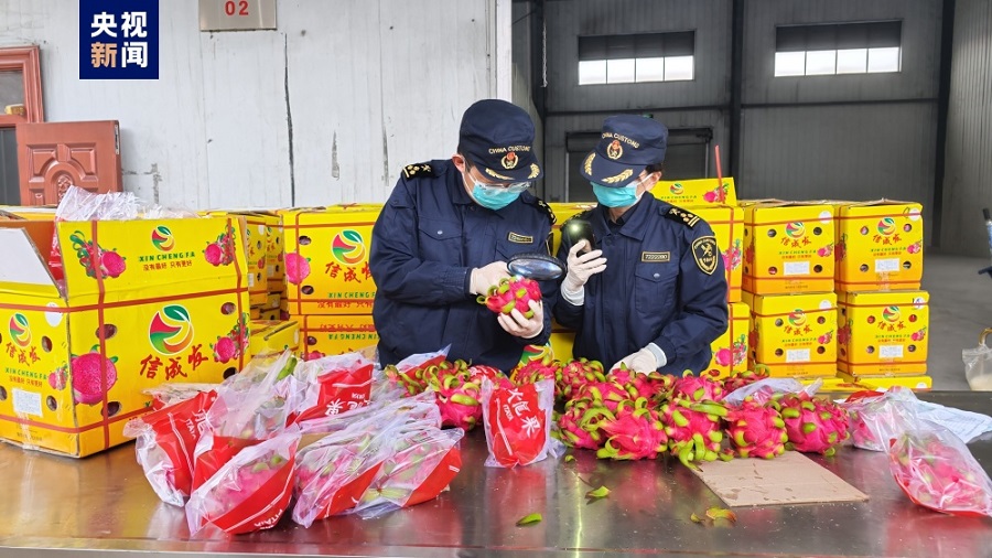 Guangxi Catat Peningkatan Import, Eksport Buah Segar