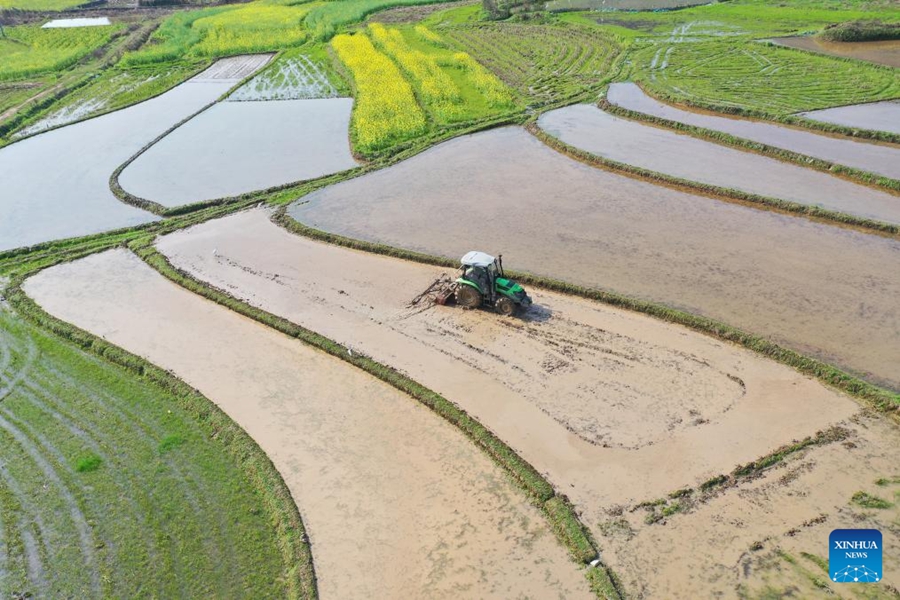 Mulanya Musim Bertani di China