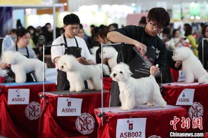 Haiwan Peliharaan Comel Kumpul di Ekspo Nanjing