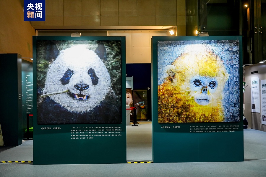 Kempen Perlindungan Panda Gergasi dan Monyet Berbulu Emas Dilancarkan