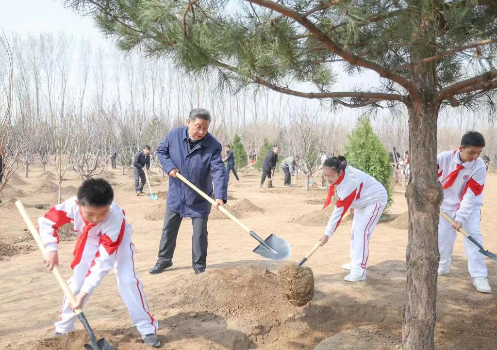 Xi Tanam Pokok di Beijing, Tekan Penghijauan Dipergiat di Seluruh Negara