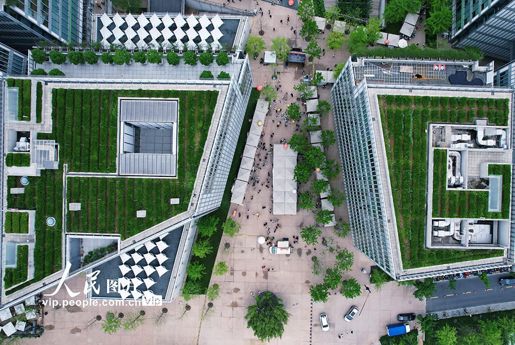  Konsep Taman Teh Bumbungan di Hangzhou Tarik Pengunjung