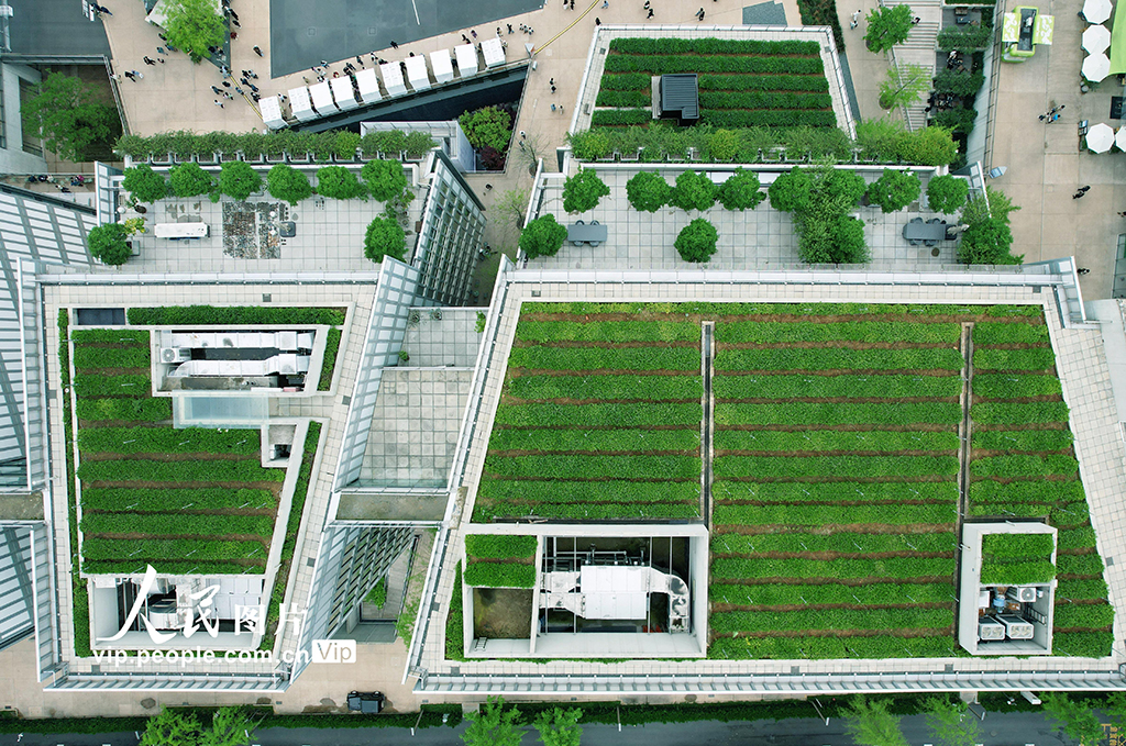  Konsep Taman Teh Bumbungan di Hangzhou Tarik Pengunjung