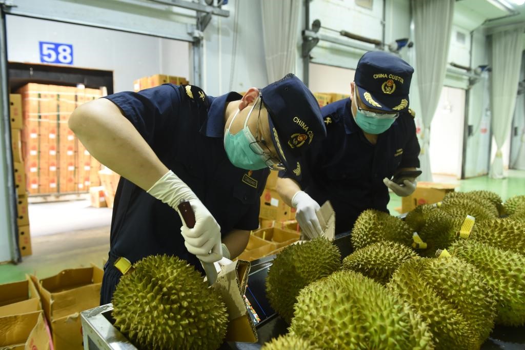  Dagangan China-ASEAN Rancak, Harga Durian di China Makin Murah