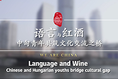 Ikatan China-Hungary Semakin Erat, Belia Rapatkan Hubungan Budaya