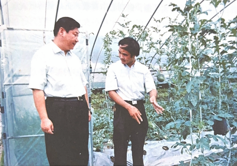  Presiden Xi Jinping memantau rumah hijau sayur di Longjing, provinsi Fujian. (Foto/Buku Xi Jinping di Fujian)