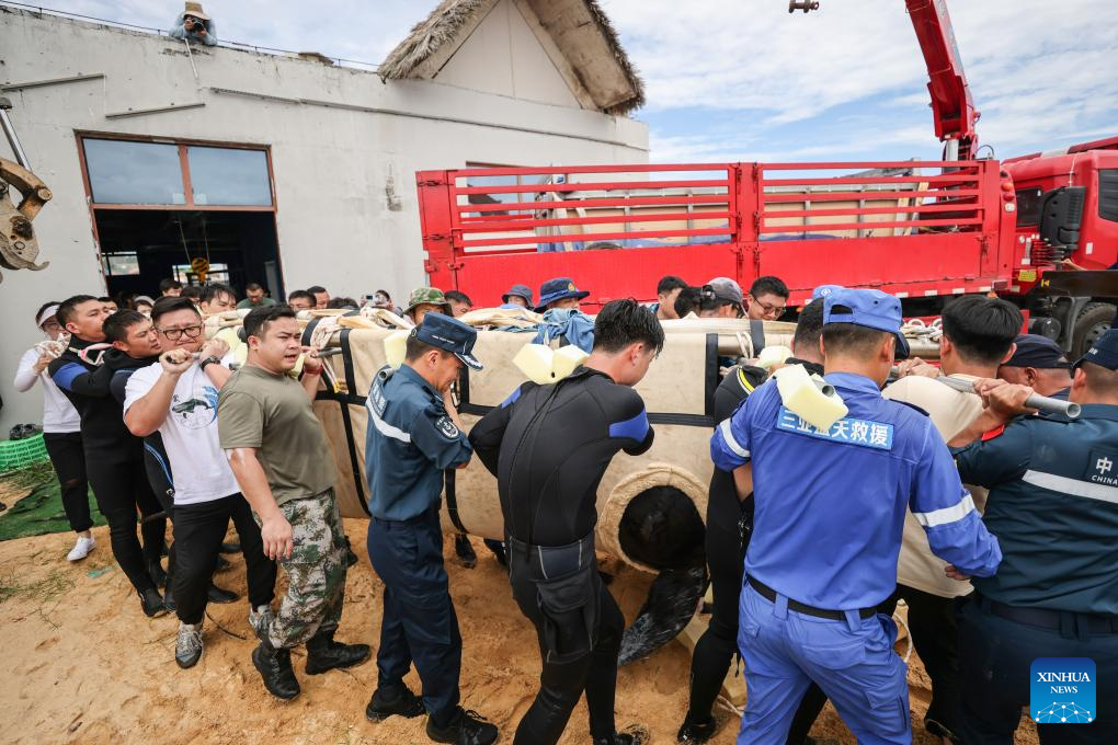 Paus yang Diselamatkan di Selatan China Pulang ke Habitat