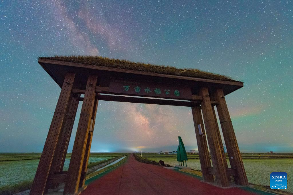 Gambar yang diambil pada 2 Jun 2024 ini memaparkan pemandangan di sawah padi di bandar Fujin, provinsi Heilongjiang, di timur laut China. Musim pindah tanam beras hampir tamat di Heilongjinag, iaitu tempat pengeluaran bijirin utama di China, yang dikenali sebagai ‘bangsal bijirin’ negara. (Xinhua/Qu Yubao