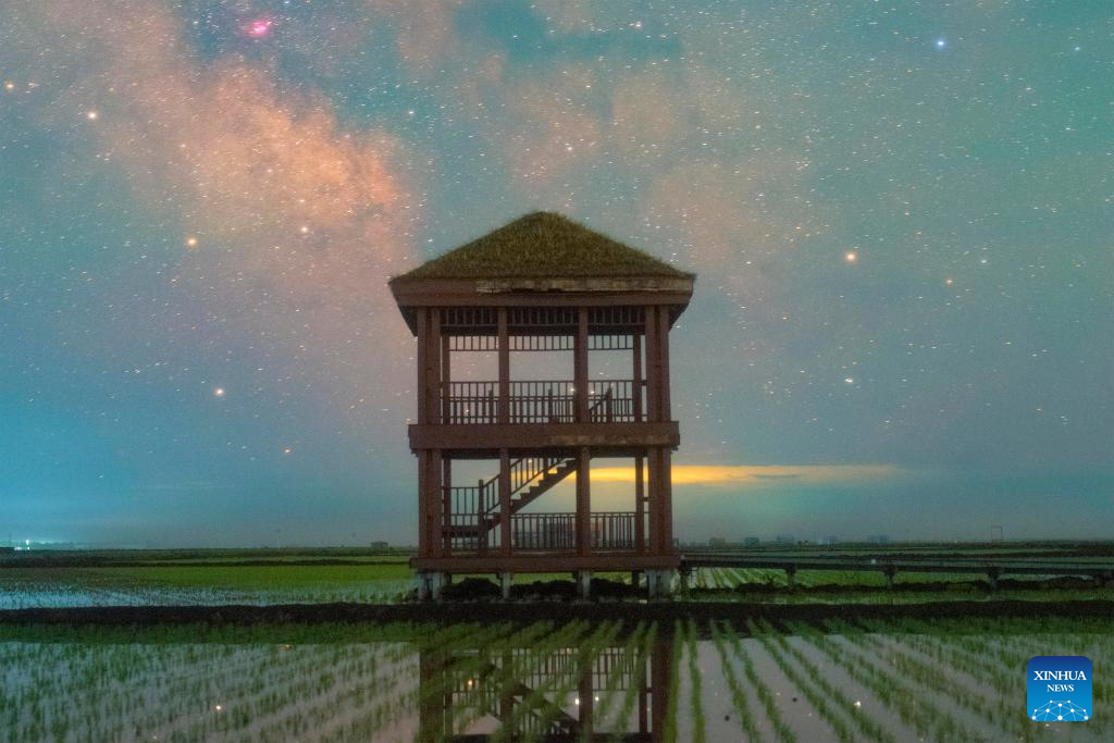 Gambar yang diambil pada 2 Jun 2024 ini memaparkan pemandangan di sawah padi di bandar Fujin, provinsi Heilongjiang, di timur laut China. Musim pindah tanam beras hampir tamat di Heilongjinag, iaitu tempat pengeluaran bijirin utama di China, yang dikenali sebagai ‘bangsal bijirin’ negara. (Xinhua/Qu Yubao